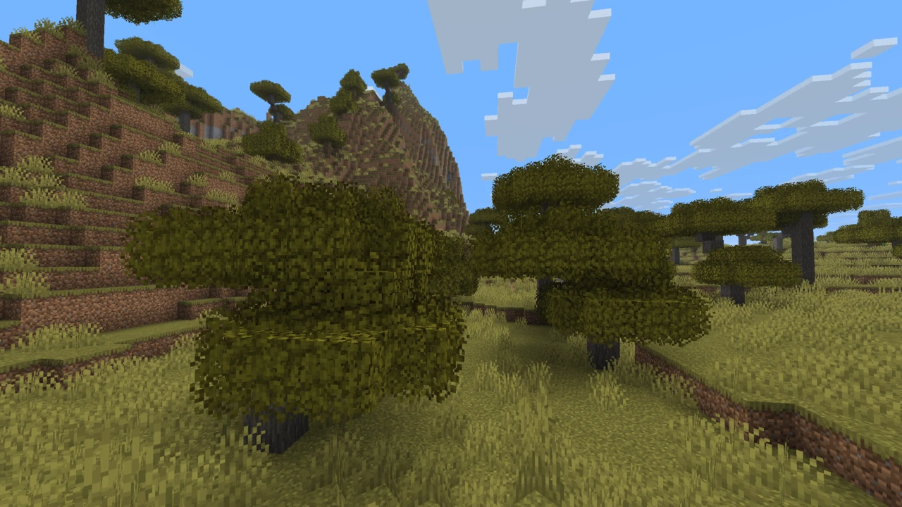Bushy acacia trees in a savanna valley below a grassy hillside with Better Leaves