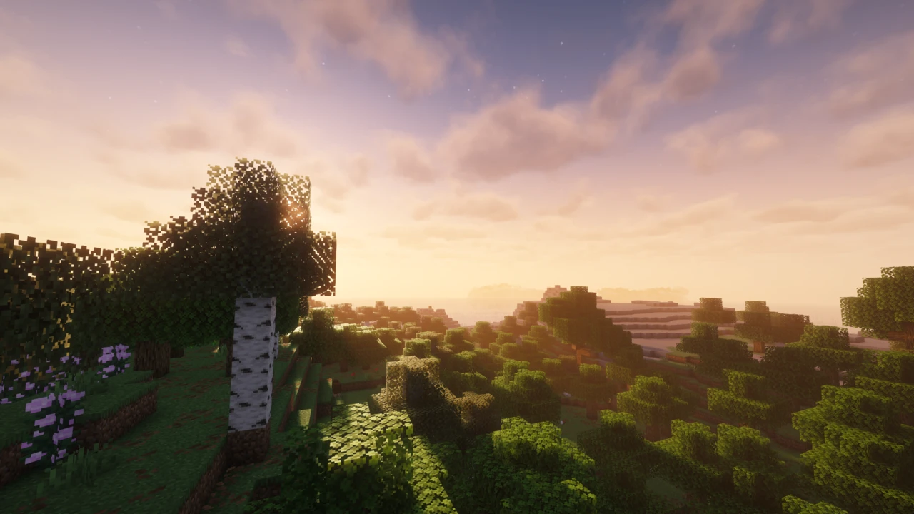 Birch tree on a hilltop at dawn with Complementary Shaders