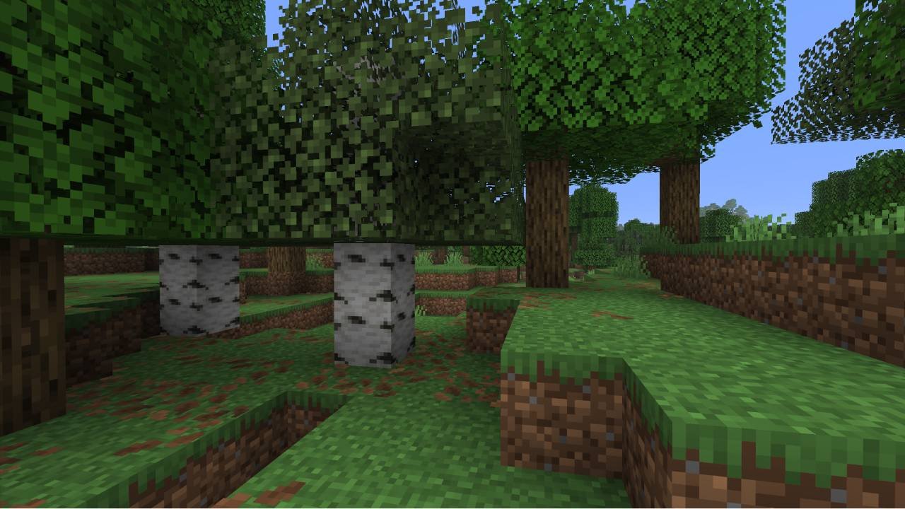 A Minecraft oak and birch forest drawn with the default textures